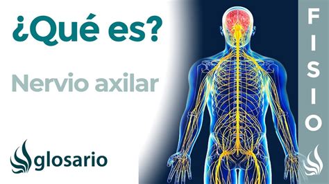 Dolor En Axila Derecha Causas Comunes Síntomas Y Consejos Para Aliviarlo