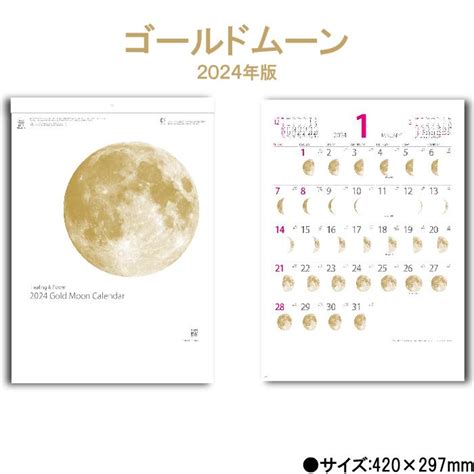 カレンダー 2024年 壁掛け ゴールドムーン Nk464 2024年版 237956 シンプル おしゃれ きれい 予定表 月 満月 新月 月