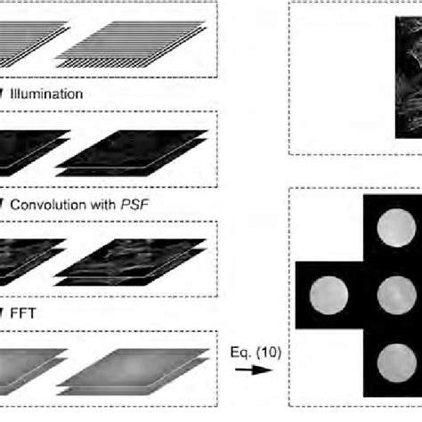 Pdf Structured Illumination Microscopy For Super Resolution And Optical Sectioning