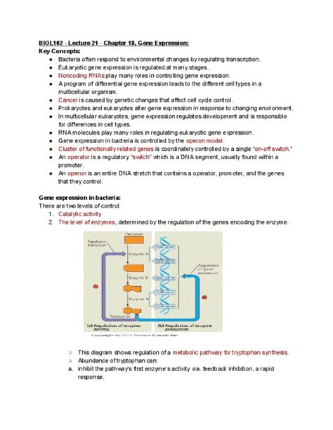 Class Notes For BIOL 102 At Queen S University OneClass