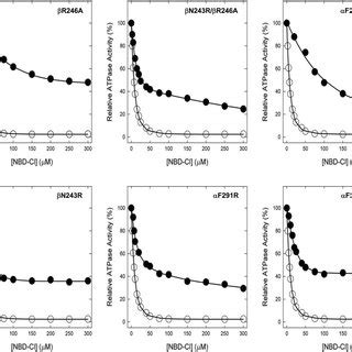 Inhibition Of ATPase Activity In Membrane Bound Wild Type And Mutant