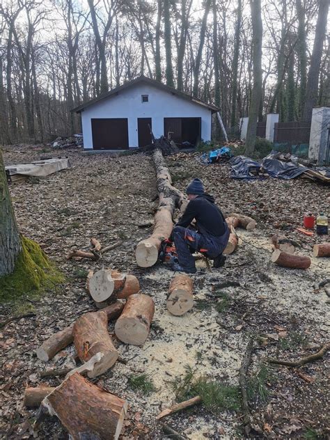 R Bak Czyszczenie Dzia Ek Wycinka I Piel Gnacja Drzew I Krzew W Podkowa