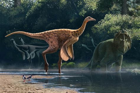 Rativates, Dinosaur Park Formation's fourth | Earth Archives