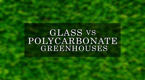 Glass vs Polycarbonate Greenhouse - The Best Glazing Option — Backyard ...