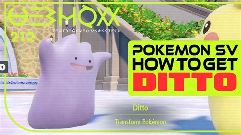 Pokemon Scarlet And Violet How To Catch Ditto Youtube