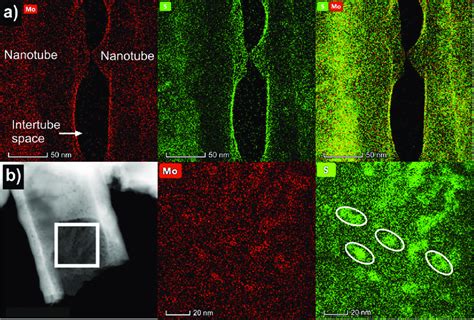 A STEM EDX Elemental Maps Showing Distribution Of Mo And S Species On