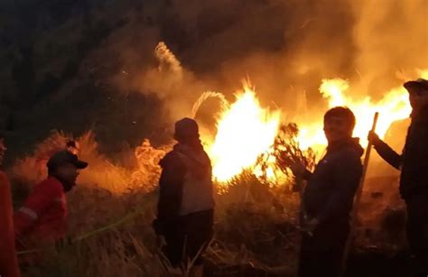 Dampak Kerusakan Ekosistem Akibat Kebakaran Savana Gunung Bromo