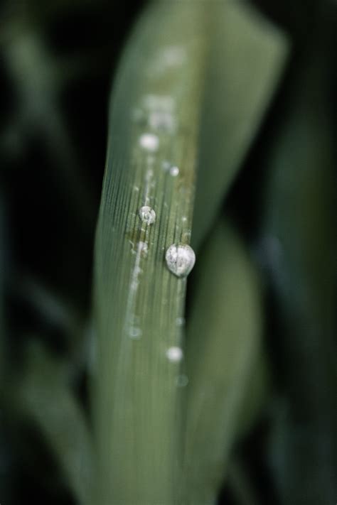 Raindrops on Window · Free Stock Photo