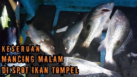 Mancing Kakap Tompel Di Muara Mancing Malam Di Muara Laut Youtube