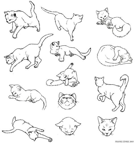 Cat Drawing Poses at GetDrawings | Free download