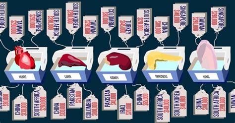 What Is Organ Trafficking