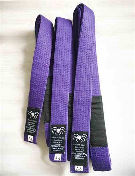 BJJ Purple Belt - Christchurch Martial Arts