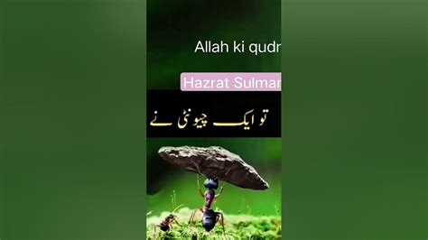 Hazrat Sulaiman Ki Dua Dua Hazrat Sulaiman Ki Religion