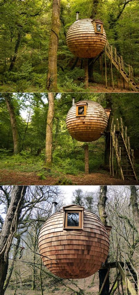 You Can Rent This Hanging Treehouse Pod For 128 Per Night Tree House