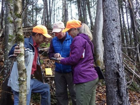 Large deposit of rare elements and minerals discovered in northern ...