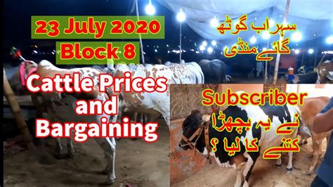 Cattle Prices And Bargaining Sohrab Goth Maweshi Mandi Update July