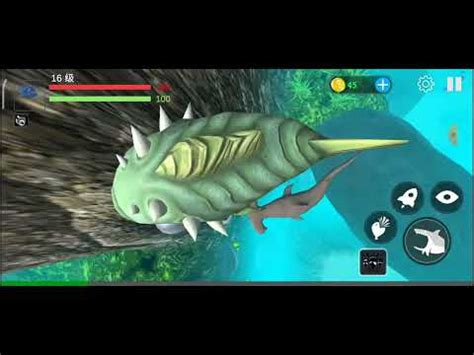 это же фиш фид энд гроу - YouTube