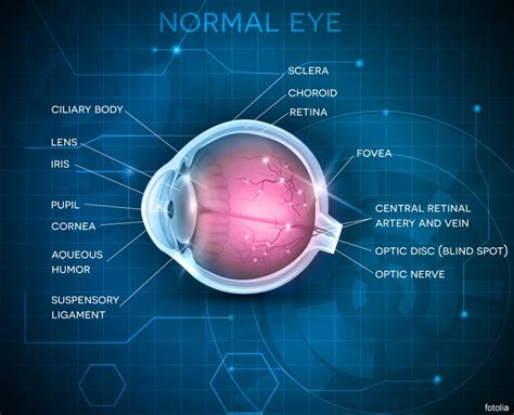 Patient Information Eye Implants The Implant Register