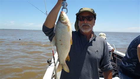 Guia De Pesca En Berisso Altapesca Van Llegando Las Reinas A Berisso