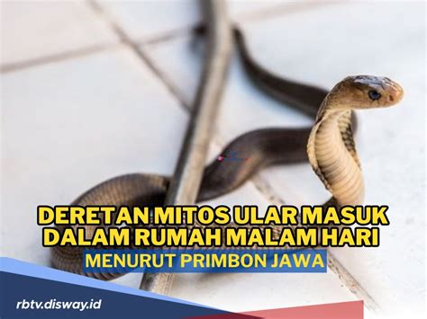 Deretan Mitos Ular Masuk Ke Dalam Rumah Malam Hari Menurut Primbon Jawa