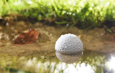 Do Golf Balls Go Bad In Water? (Everything To Know) - Golf Cart Go