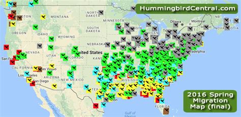 2016 Hummingbird Spring Migration Map 2016 Hummingbird Sightings