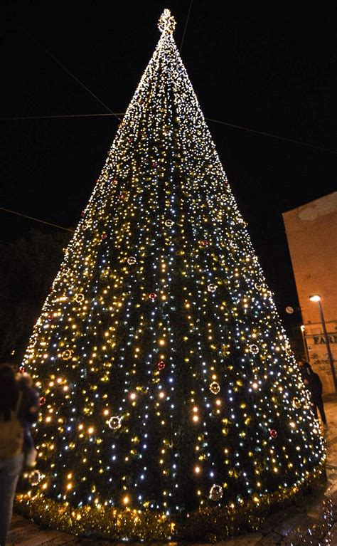 CISTERNA UN ALBERO DI 18 METRI PER LE FESTIVITÀ NATALIZIE