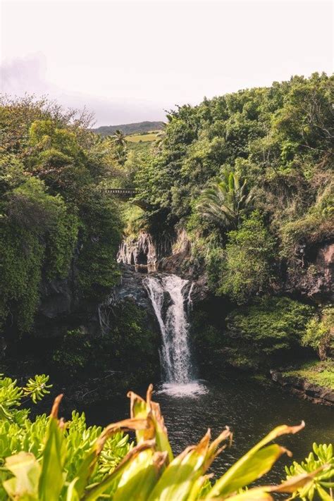 15 Best Road To Hana Stops In Maui Hawaii Artofit