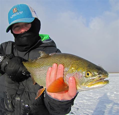 Ice Fishing Antero Reservoir