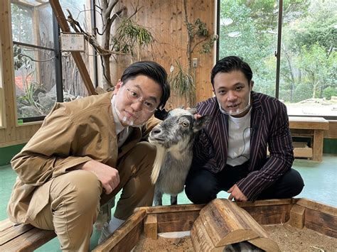 『サンドウィッチマンのどうぶつ園飼育員さんプレゼン合戦 Zoo－1グランプリ』 Tv Life Web