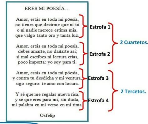 ¿cuantos Versos Hay En Total ¿cuántos Versos Tienen Cada Estrofa