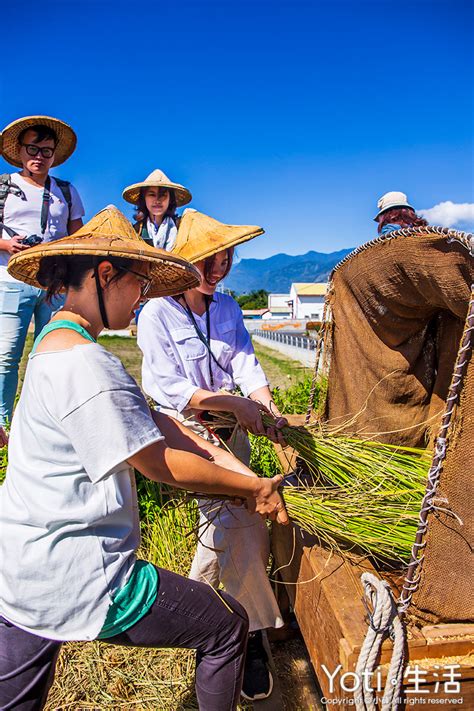 台東池上 萬安社區 充滿稻香的小農村 辛苦過後的大碗公割稻飯最對味！ft台東縣池上鄉萬安社區發展協會（體驗邀約） Yoti