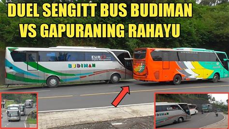 Duel Seru Bus Budiman Vs Gapuraning Rahayu Primajasa Di Kepung Bus