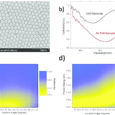 A SEM Photo Of The Reproduced UTAM Nanodots B Extinction Spectra