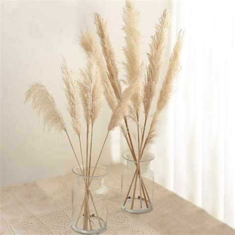 Natural Wheat Tint Pampas Grass Sprays