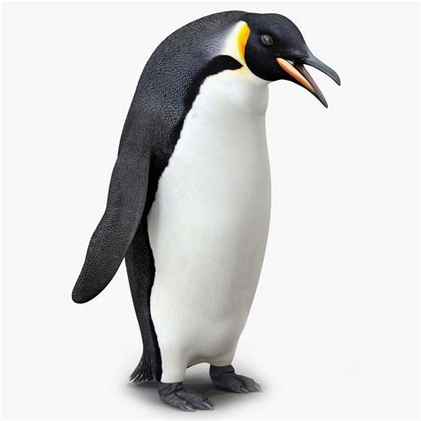 Emperor Penguin Pose D Max