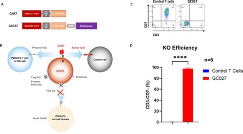 schematic illustration  gc product design  illustration  gc