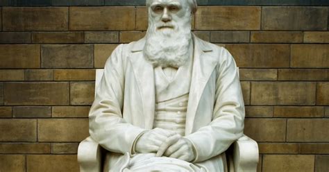 Jak Charles Darwin Zmienił Nasze Zrozumienie Świata Świętuj razem z