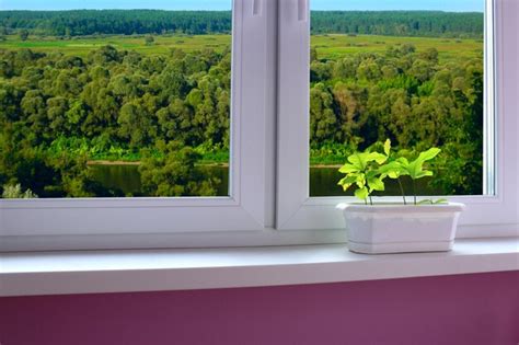 Plantes Dans Le Pot Sur Le Rebord De La Fenêtre Et Vue Sur Le Paysage