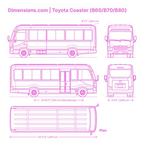 City | Transit Buses Dimensions & Drawings | Dimensions.com