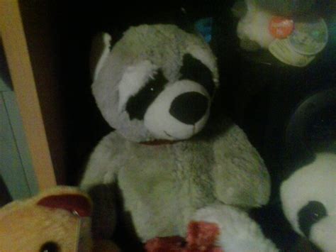 My Raccoon Plush 207 by PoKeMoNosterfanZG on DeviantArt