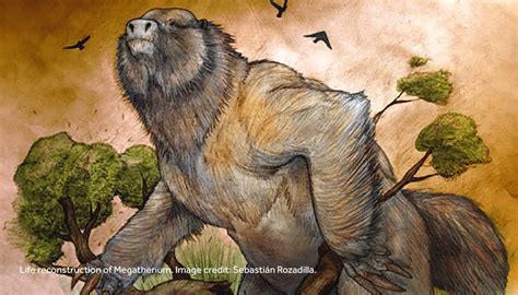 358 Million Year Old Megatherium Fossil Discovered Atyutka Current