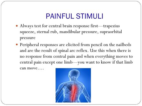 Neurological Assessment97 03