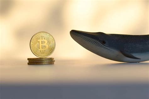 Dormant Bitcoin Whales Activate After 15 Years Move Millions In BTC