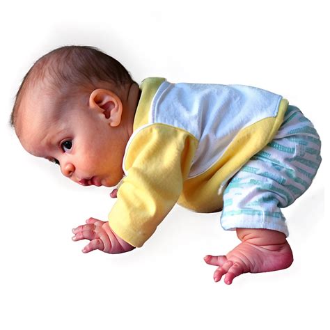 Download Crawling Baby Png Nfy