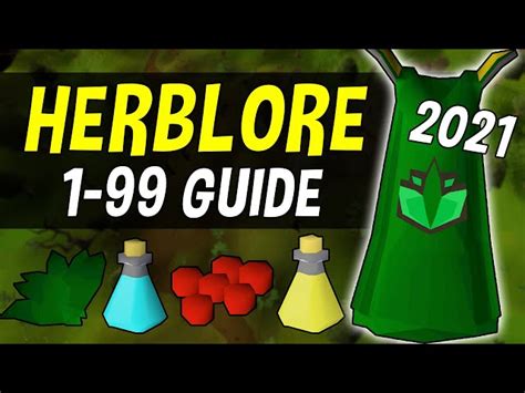 A Complete 1-99 OSRS Herblore Guide: Fast and Cheap! - Play My World