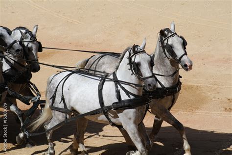 Carruaje de caballos. Stock Photo | Adobe Stock