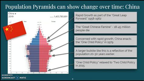 Different Types Of Population Pyramids