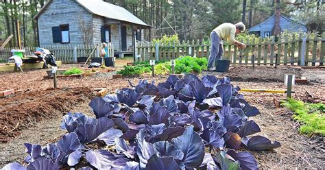 Volunteer Fayetteville: Cape Fear Botanical Gardens