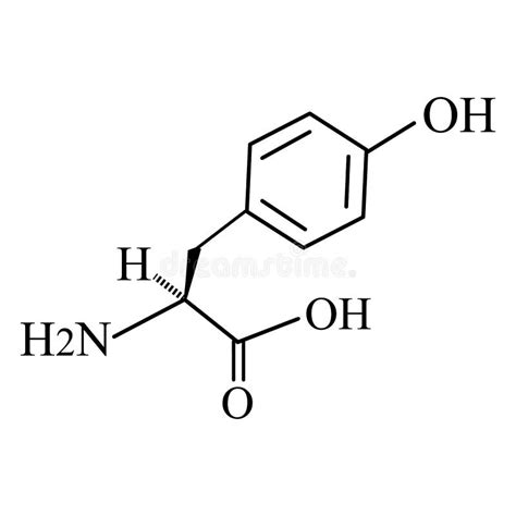 L Acide Amin Tyrosine Formule Mol Culaire Chimique De L Acide Amin